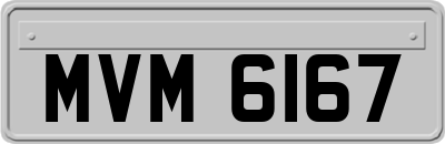 MVM6167