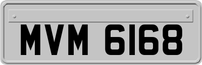 MVM6168