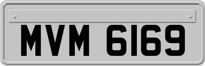 MVM6169