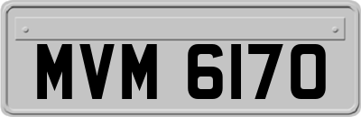 MVM6170