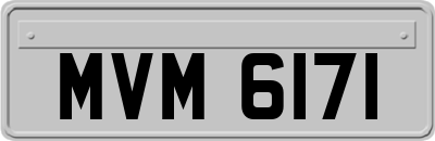 MVM6171