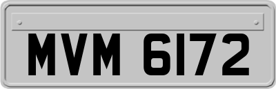 MVM6172