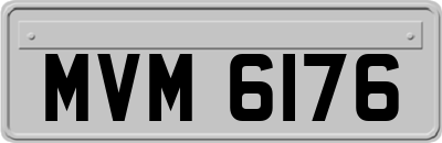 MVM6176