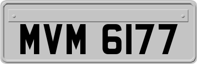 MVM6177