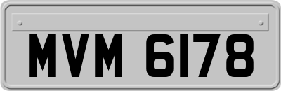 MVM6178