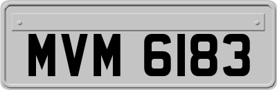 MVM6183