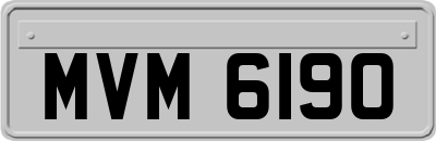 MVM6190