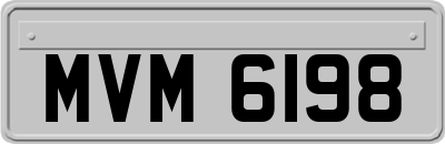 MVM6198