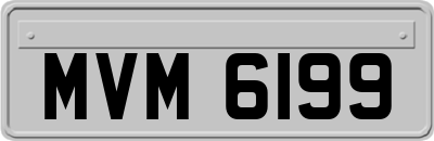 MVM6199