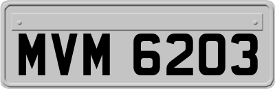 MVM6203