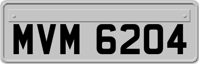 MVM6204