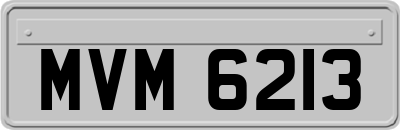 MVM6213