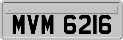 MVM6216