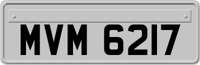 MVM6217