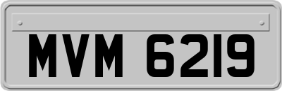 MVM6219