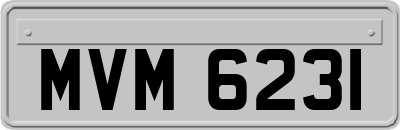 MVM6231