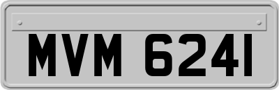 MVM6241