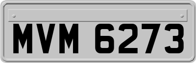 MVM6273