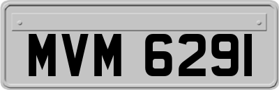 MVM6291