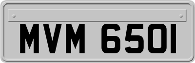 MVM6501