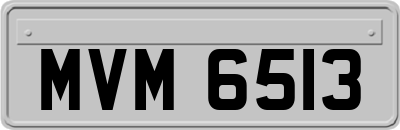 MVM6513