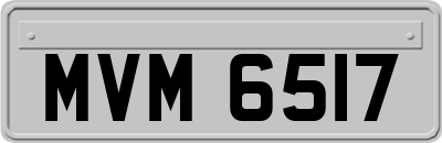 MVM6517