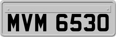 MVM6530