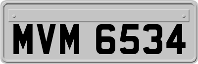 MVM6534