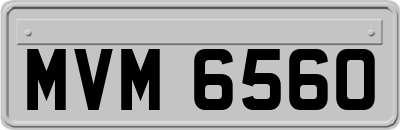 MVM6560