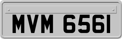 MVM6561