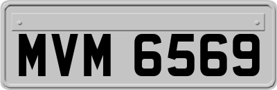 MVM6569