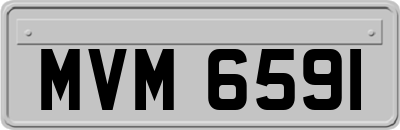 MVM6591