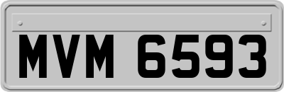 MVM6593