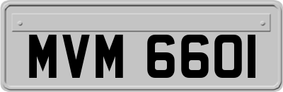 MVM6601