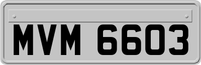 MVM6603