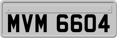 MVM6604