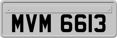 MVM6613