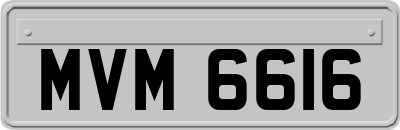 MVM6616