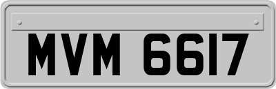 MVM6617