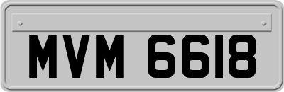 MVM6618