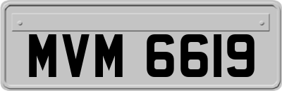 MVM6619