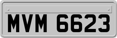 MVM6623