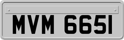 MVM6651