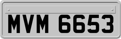 MVM6653