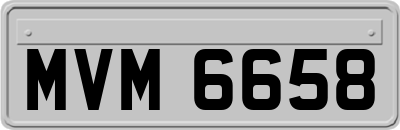 MVM6658