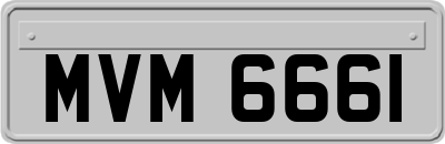 MVM6661