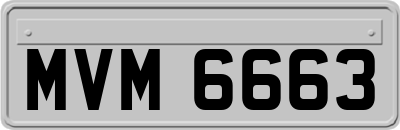 MVM6663