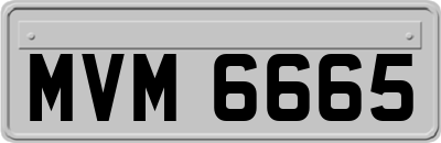 MVM6665