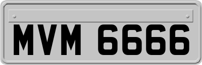 MVM6666