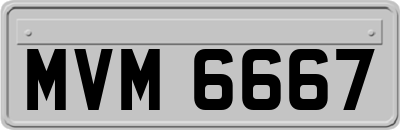 MVM6667